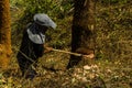 Slash and burn cultivation, rainforest cut and burned to plant Royalty Free Stock Photo