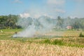 Slash and Burn on a Ricefield