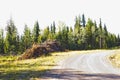 Slash piles along a logging roadside Royalty Free Stock Photo