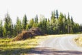 Slash piles along a logging roadside