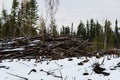 Slash piles left after clear cutting