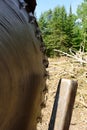 Slasher Circular Saw on Log Landing Royalty Free Stock Photo