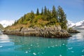 Slate island in Aialik bay, Kenai Fjords NP, Alask Royalty Free Stock Photo