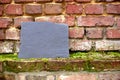 Slate plate on a mossy old brick wall Royalty Free Stock Photo