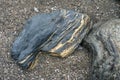 Slate stone with fine veins of golden pyrite on a beach