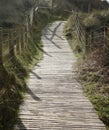 A wooden slatted walkway over the dunes Royalty Free Stock Photo