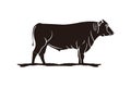 slaughter, Cattle , Beef logo. Royalty Free Stock Photo