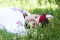 Slav girl at green meadow. Royalty Free Stock Photo