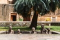 Slave Market Memorial in Stone Town on Zanzibar island, Tanzania