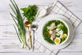 Slavic green sorrel soup with eggs, flat lay