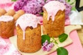 Slavic Orthodox Easter bread Kulich with raisins, nuts and pink icing