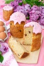 Slavic Orthodox Easter bread Kulich with raisins, nuts and pink icing