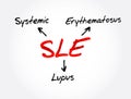 SLE - Systemic Lupus Erythematosus acronym, medical concept background