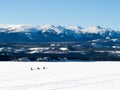 Sled dog musher on Lake Laberge YT Canada Royalty Free Stock Photo