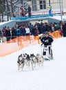 Sled Dog Race in Kharkiv, Ukraine