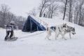 Sled Dog Race in Kharkiv, Ukraine