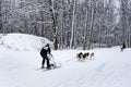 Sled Dog Race in Kharkiv, Ukraine