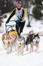 Sled Dog Racing, Donovaly, Slovakia Royalty Free Stock Photo