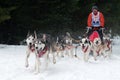 Sled Dog Racing, Donovaly, Slovakia