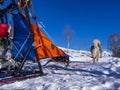 Sled dog scene in the italian alps Royalty Free Stock Photo