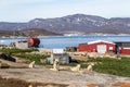 Sled Dogs in Rodebay, Greenland Royalty Free Stock Photo