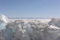 Sled Dogs Run on the Frosen Lake