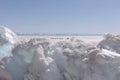 Sled Dogs Run on the Frosen Lake