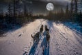 Sled dogs on a winter trail during a large full moon. Royalty Free Stock Photo