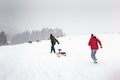 Sled or ski winter sports activity, snow forest in snowfall cold, walk outdoor play fun