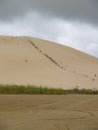 Sledding the sand dunes near ninety mile beach New Zealand