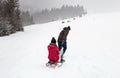 Sledding or ski mountain snow, winter sports activity, forest in snowfall cold, walk outdoor play fun