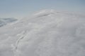 Sleddog in Alps. Up to mountain peaks Royalty Free Stock Photo