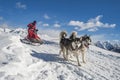 Sleddog competition Royalty Free Stock Photo