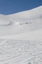 Sleddog race in Alps. White & Blue Royalty Free Stock Photo