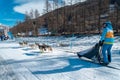 Sleddog race in Pragelato 2020