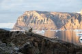 Sleddogs in Uummannaq, North Greenland. During Arctic Sunset. Royalty Free Stock Photo