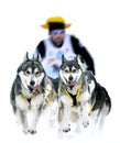 Sledge dogs in speed racing