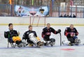 Sledge hockey players