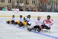 Sledge hockey team