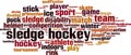 Sledge hockey word cloud