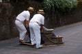 Sledge riding in funchal