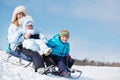 Sledging activities Royalty Free Stock Photo