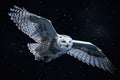 A sleek and agile Snowy Owl flying through the night sky, showing off its sleek and agile nature. Generative AI