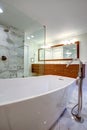 Sleek bathroom with freestanding bathtub and walk in shower Royalty Free Stock Photo