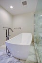 Sleek bathroom with freestanding bathtub Royalty Free Stock Photo