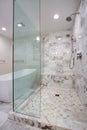 Sleek bathroom with large walk in shower Royalty Free Stock Photo