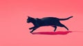 A sleek black cat in mid-stride runs gracefully across a bold pink background Royalty Free Stock Photo