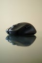 Sleek black computer mouse on a reflective surface Royalty Free Stock Photo