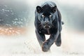 Sleek black panther in motion dynamic shot captures speed and power against white background
