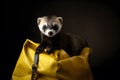 Sleek Ferret with Thief\'s Sack Portrait. Generative AI Illustration